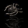 broche araignée