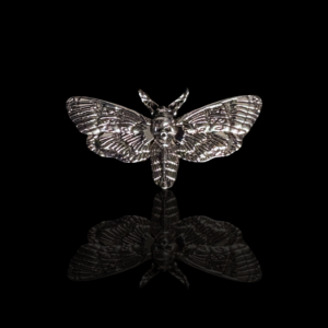 Broche moth