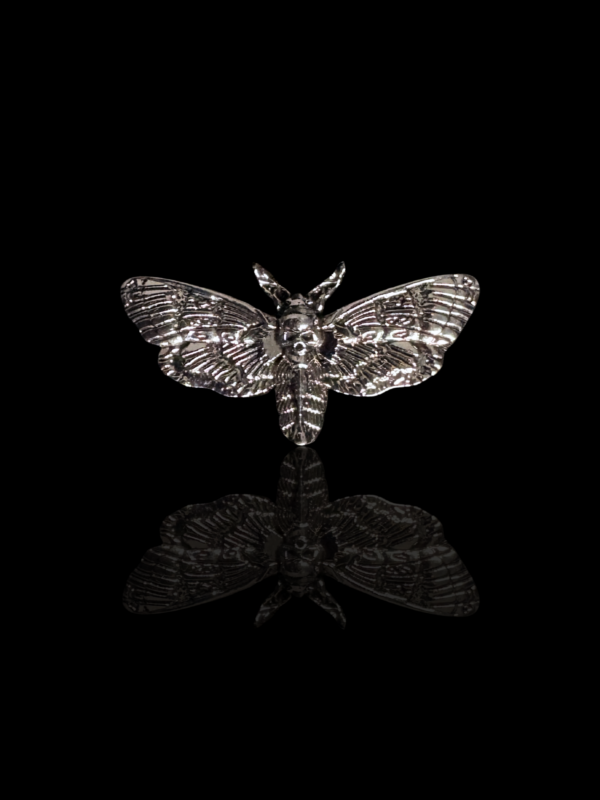 Broche moth